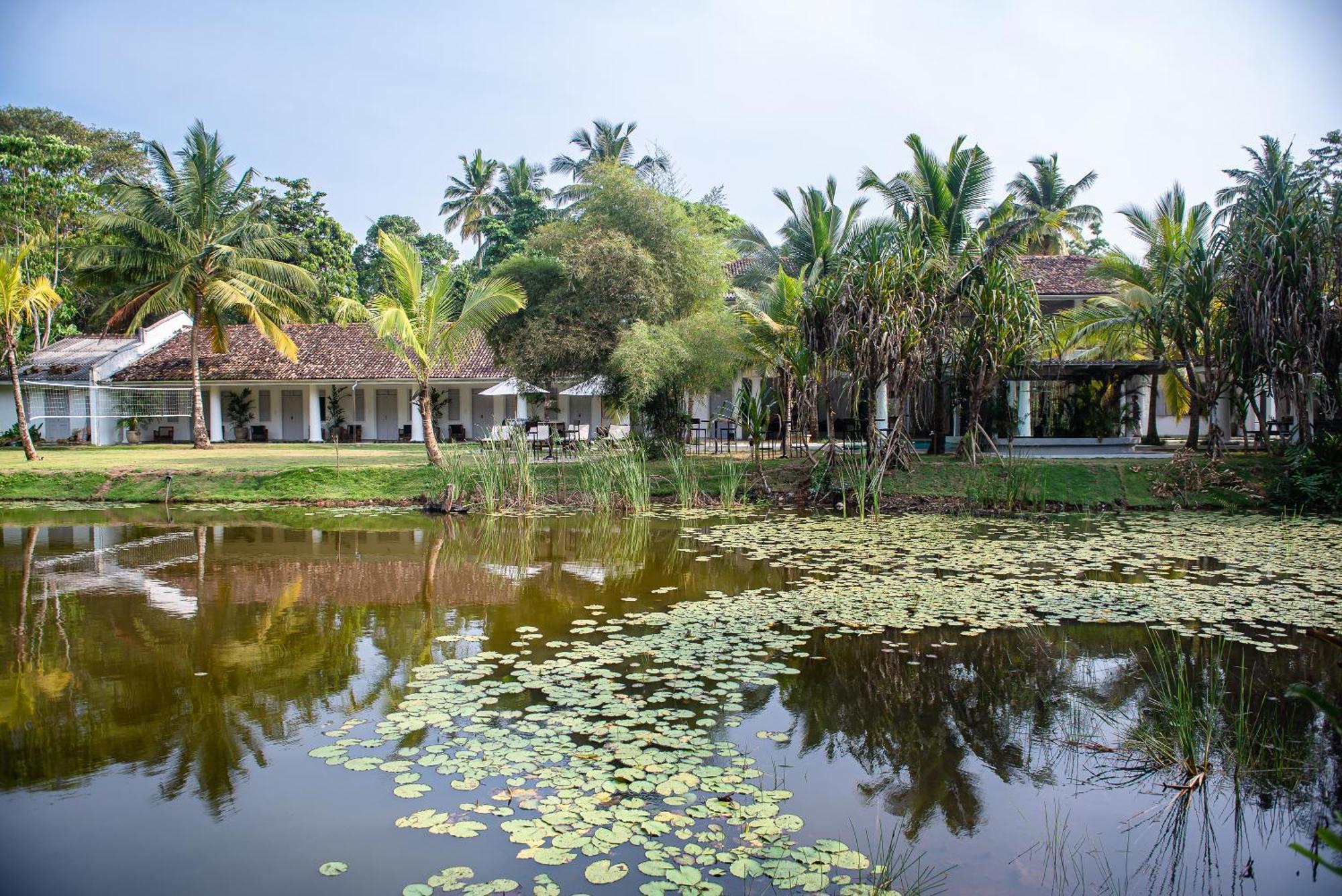 Bed and Breakfast Good Story At Nirbana Island Ahangama Esterno foto